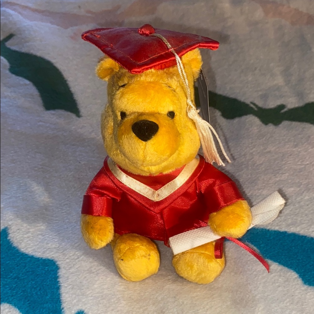 Disney Plush Bear in Red Graduation Outfit